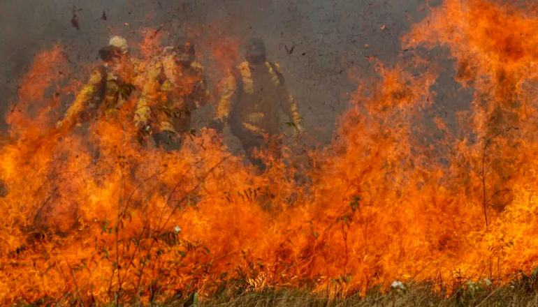 Uma imagem impressionante