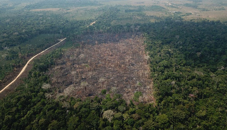 Uma imagem impressionante